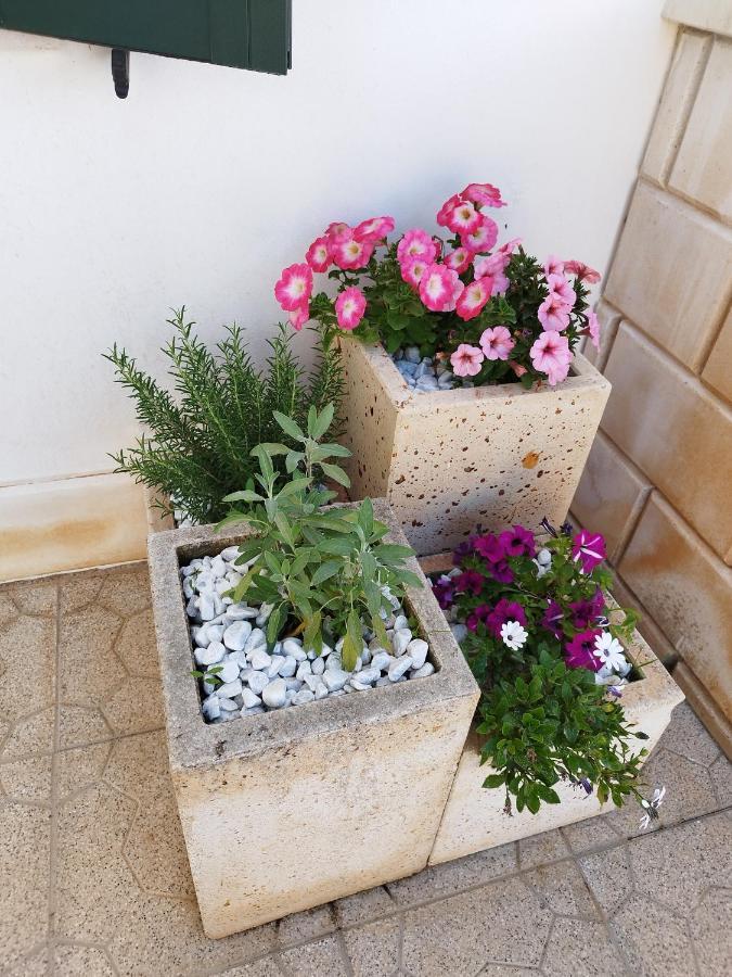 טורה סודה Casa Vacanze Il Sorriso Di Emi מראה חיצוני תמונה